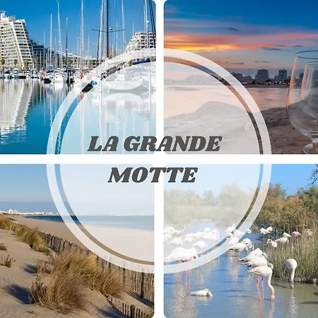 Horizon Piscine, Clim Wifi Parking Cosy 3min De L'etang Prosconciergerie